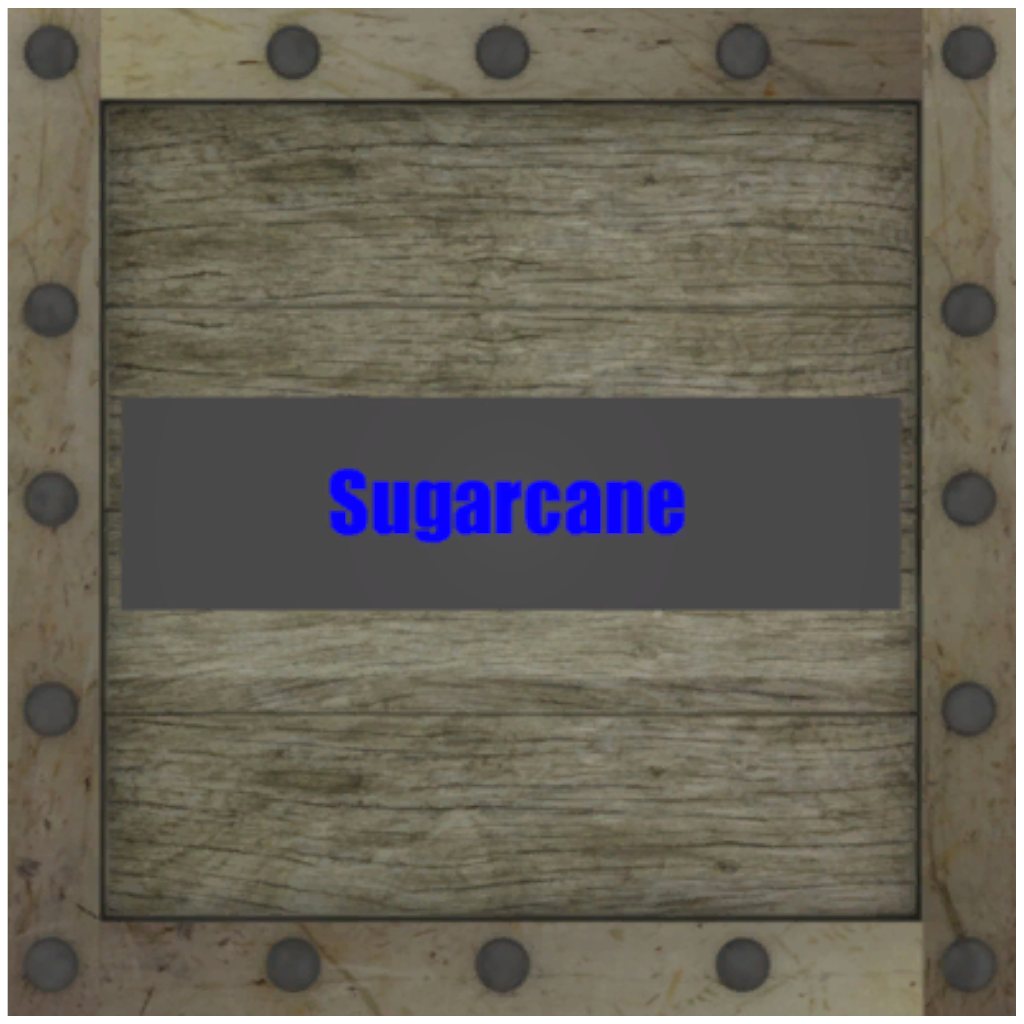 Sugarcane x100