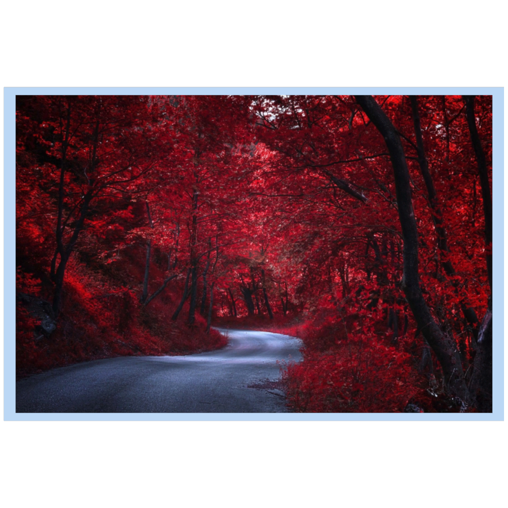 Red Forest Painting